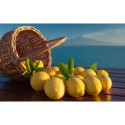 Linea naturale per gelateria gusto limone AFP/ ULTRAGEL19