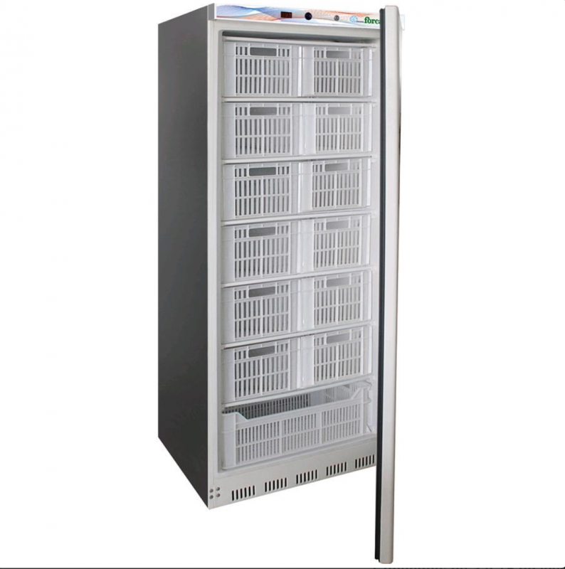 Professional vertical freezer AFP / EF600SSCAS in stainless steel