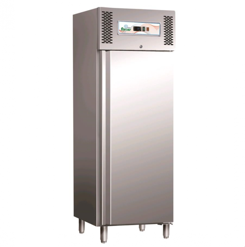 Professional vertical AFP / GN650BT freezer in stainless steel