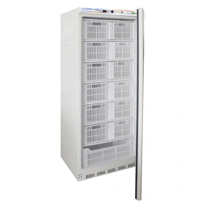 Professional vertical freezer AFP / EF600CAS