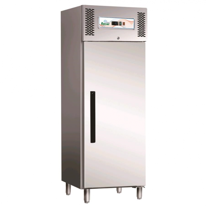 Professional vertical freezer AFP / ECV600BT in stainless steel AISI 430