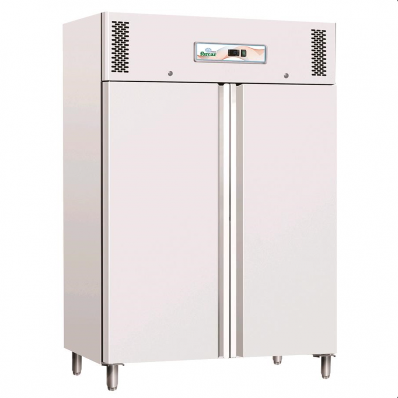Professional vertical freezer AFP / GNB1200BT in painted sheet and aluminum
