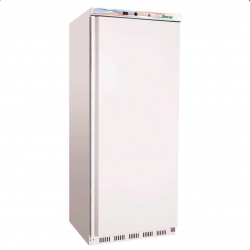 Professional vertical freezer AFP / ER600 in painted sheet and abs