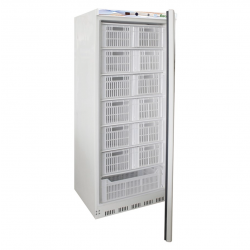 Professional vertical freezer AFP / EF600CAS