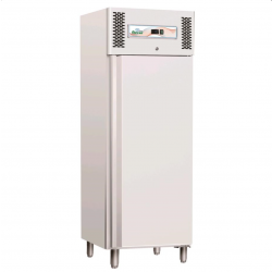 Professional vertical freezer AFP / GNB600TN in painted sheet and aluminum