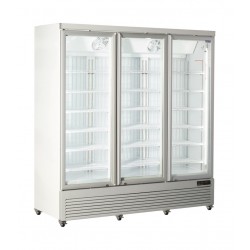 AFP / RFG1900 vertical refrigerated display case