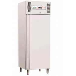Professional vertical freezer AFP / GNB600BT