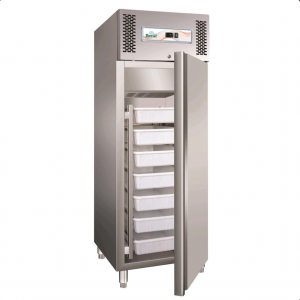 Professional vertical freezer AFP / GN600FISH in stainless steel