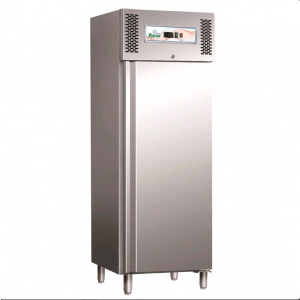 Professional vertical AFP / GN650TN freezer in stainless steel